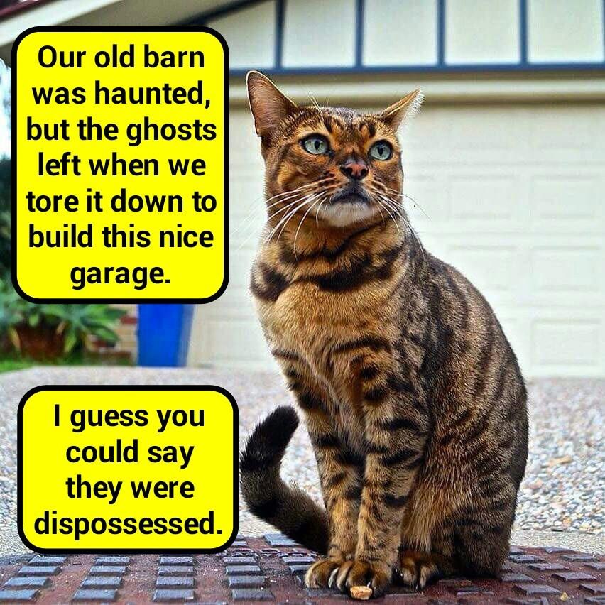 Faced with the specter of homelessness (recaption