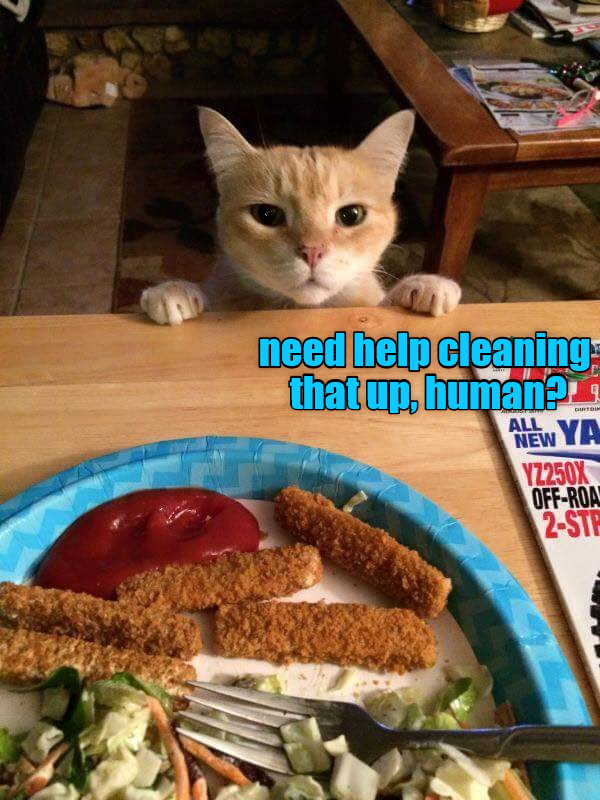 You take the green bits, I'll have the rest, ok? - Lolcats - lol | cat ...