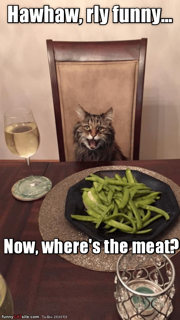 Beefore The Wine Gets It&hellip; - Lolcats - lol | cat memes | funny cats