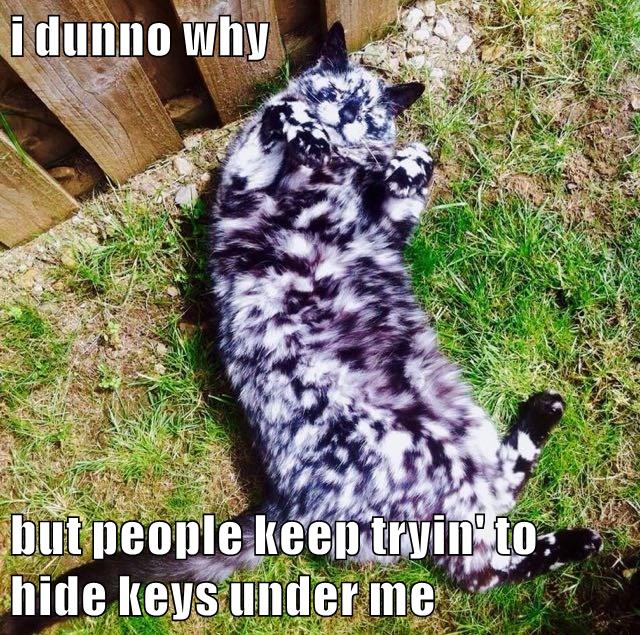 i dunno why but people keep tryin' to hide keys under me - Lolcats ...