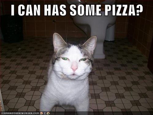 I CAN HAS SOME PIZZA? - Lolcats - lol | cat memes | funny cats | funny ...