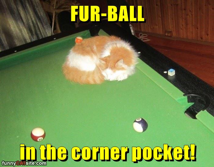 FUR-BALL in the corner pocket! - Lolcats - lol | cat memes | funny cats ...