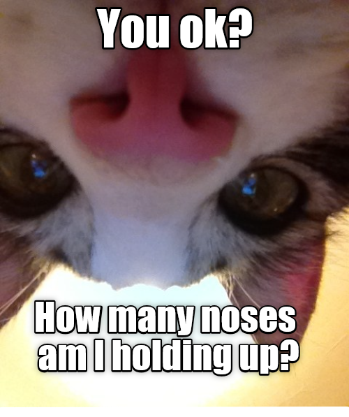 Don't worry, you can still work the can opener with a concussion