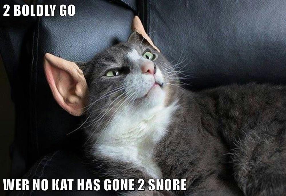 2 BOLDLY GO WER NO KAT HAS GONE 2 SNORE - Lolcats - lol | cat memes ...