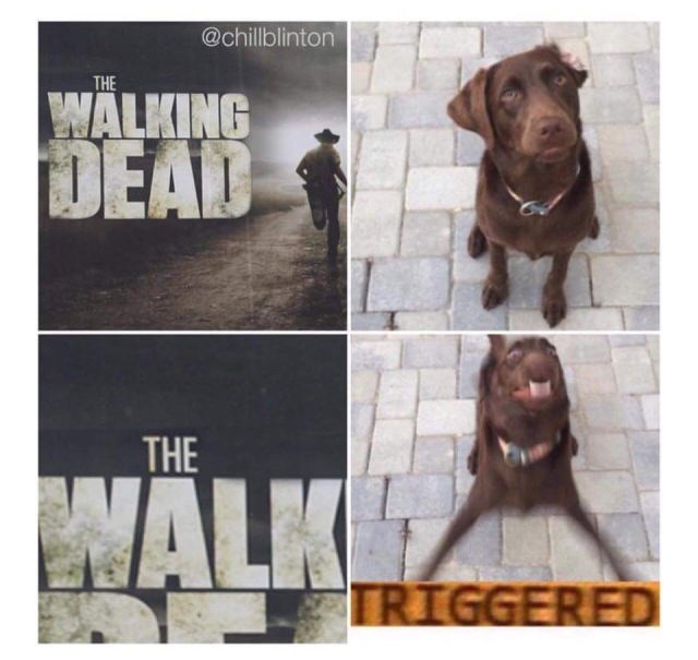 Previously on The WALKing Dead I Can Has Cheezburger?