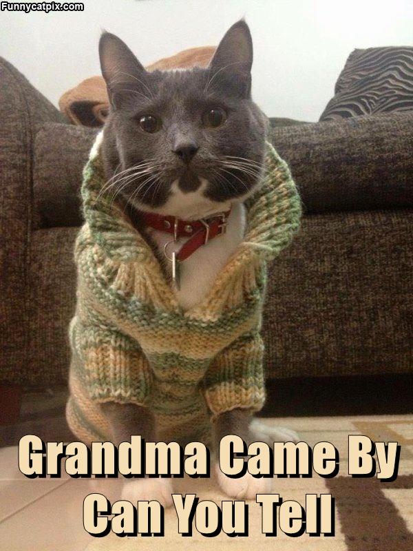 Grandma Came By…. - Lolcats - lol | cat memes | funny cats | funny