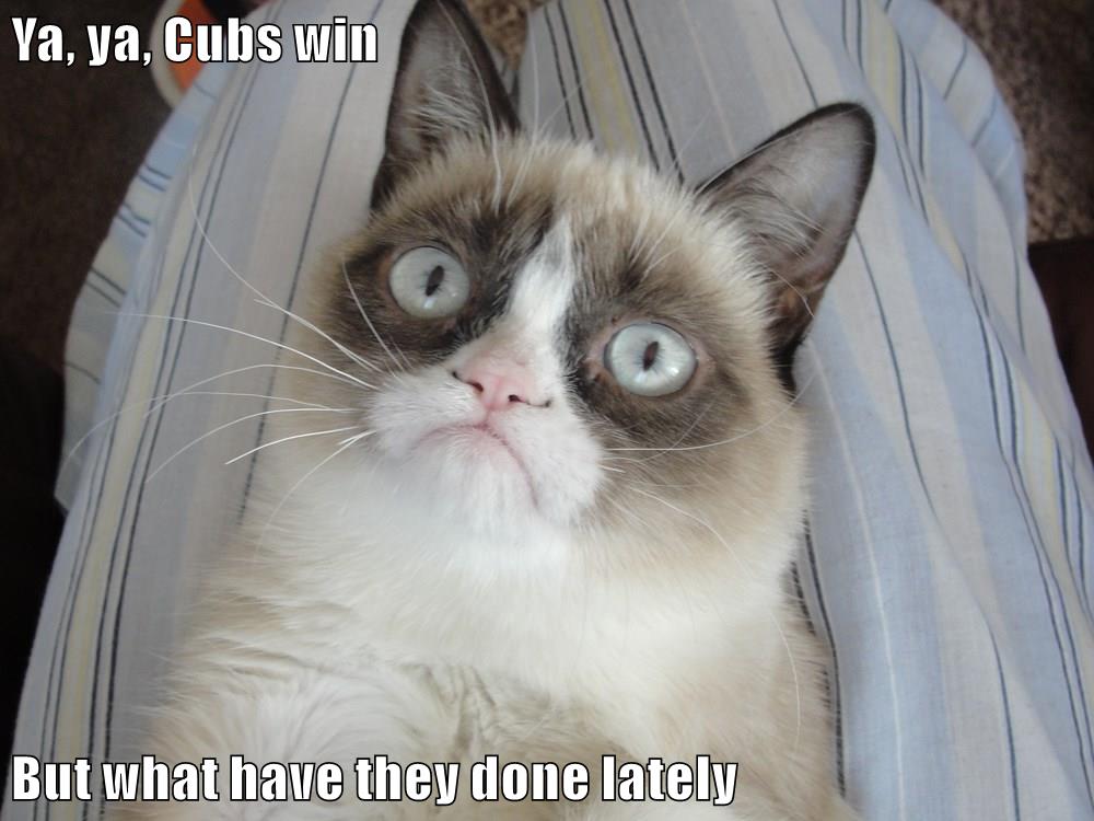 Ya, ya, Cubs win But what have they done lately - Lolcats - lol