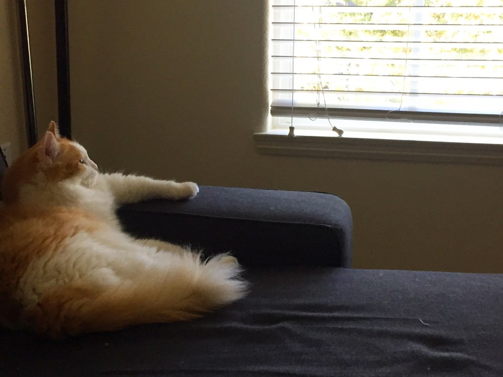 maybe i should buy a boat