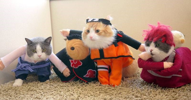 Spot on Naruto Cosplay - Geek Universe - Geek | Fanart | Cosplay | Pokémon  GO | Geek Memes | Funny pictures
