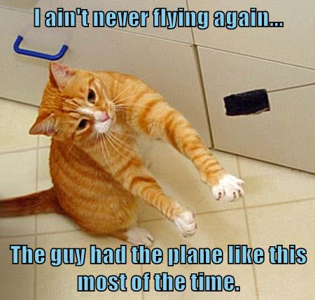 Lolcats - plane - LOL at Funny Cat Memes - Funny cat pictures with ...