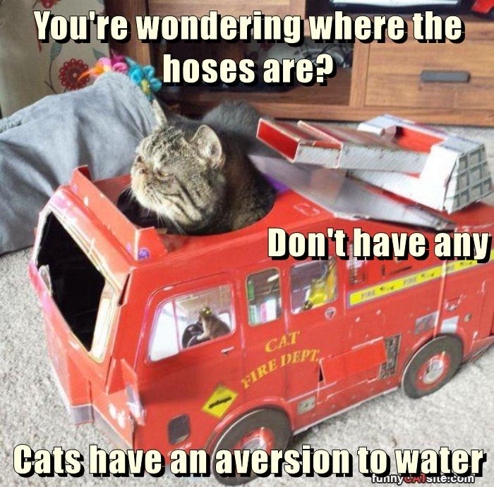 You're wondering where the hoses are? Don't have any Cats have an ...