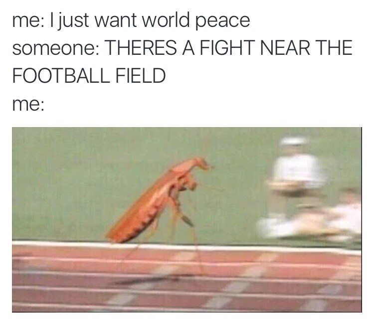 Fight! Fight! Fight! - Memebase - Funny Memes