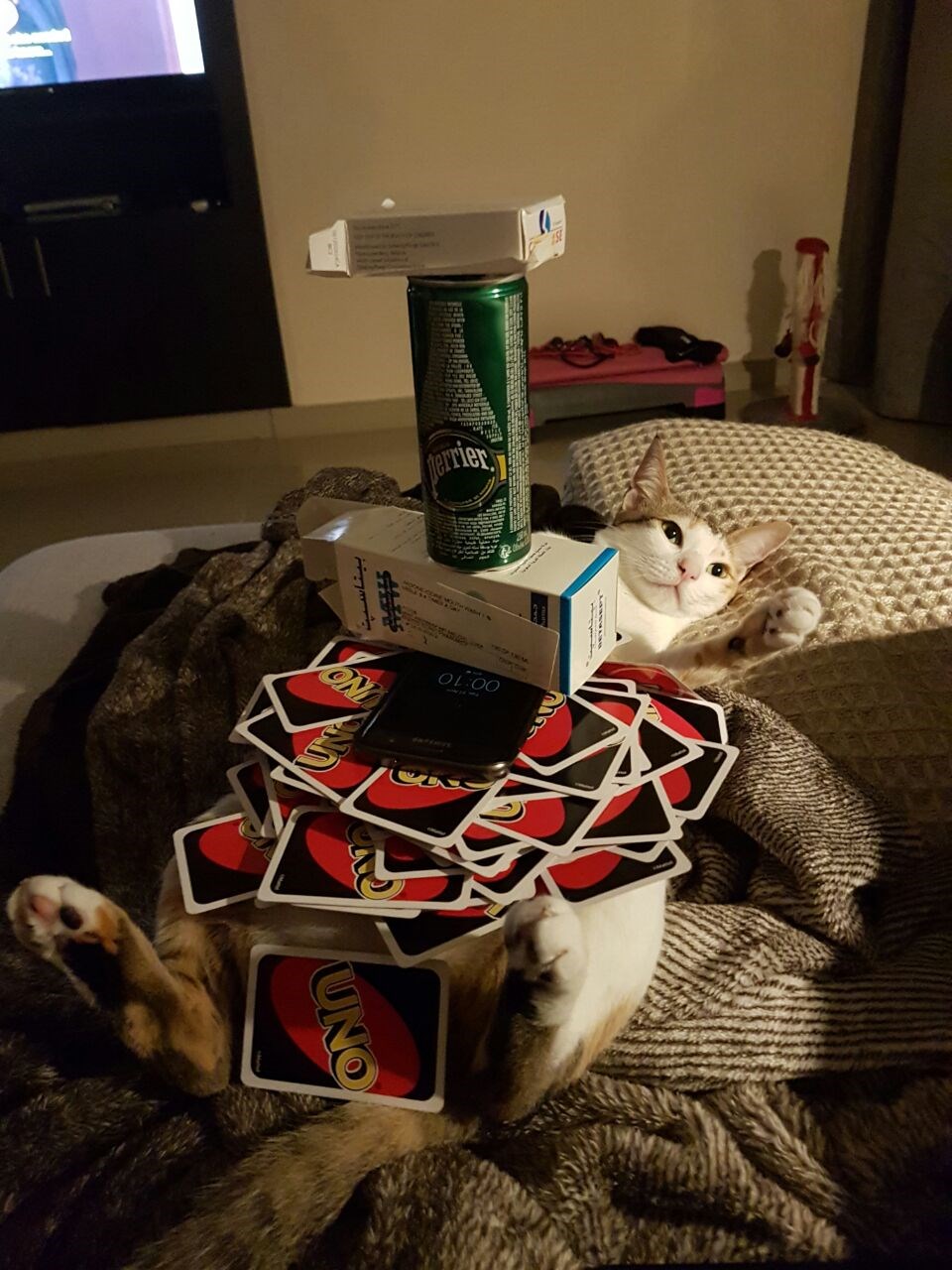 cat stack puzzle