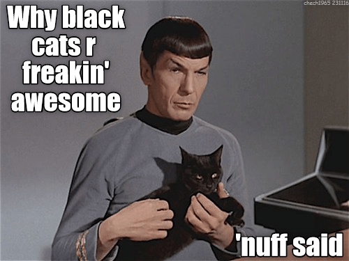 Lolcats - Spock - LOL at Funny Cat Memes - Funny cat pictures with ...