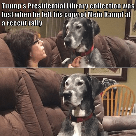 Trump S Presidential Library Collection Was Lost When He Left His Copy Of Mein Kampf At A Recent Rally I Has A Hotdog Dog Pictures Funny Pictures Of Dogs