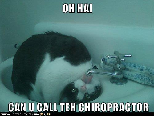 Lolcats - Chiropractor - Lol At Funny Cat Memes - Funny Cat Pictures 