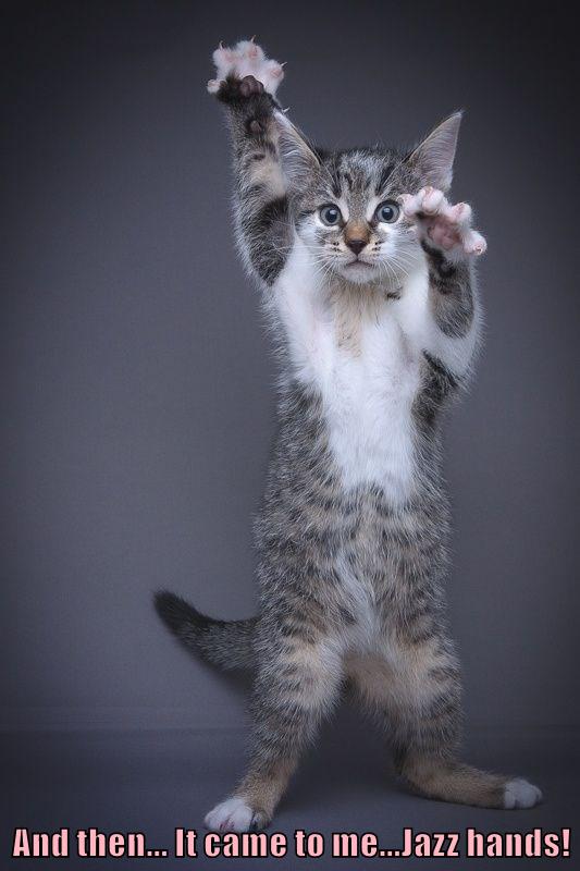 And then... It came to me...Jazz hands! Lolcats lol cat memes