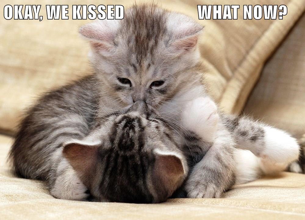 Okay, We Kissed What Now? - Lolcats - Lol 