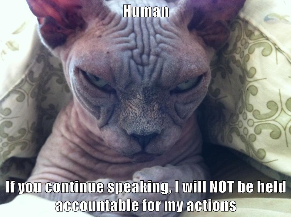 Human If you continue speaking, I will NOT be held accountable for my ...