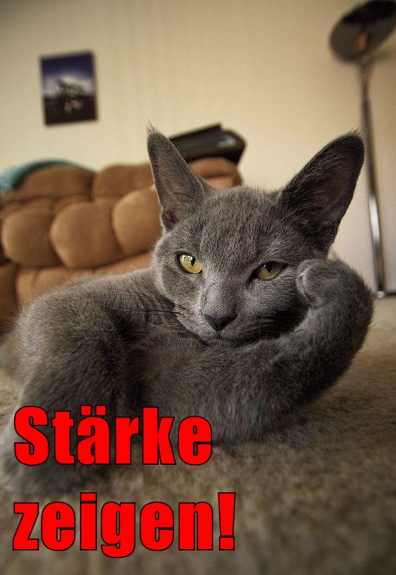 Download Staerke zeigen For iPhone Free