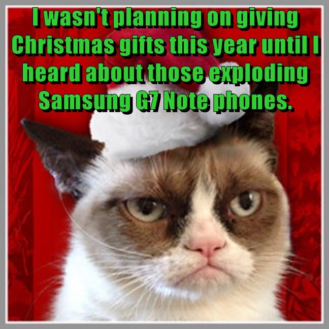 Lolcats - christmas - LOL at Funny Cat Memes - Funny cat pictures with