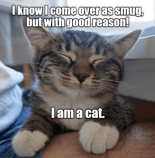 Best Excuse There Is - Lolcats - lol | cat memes | funny cats | funny ...