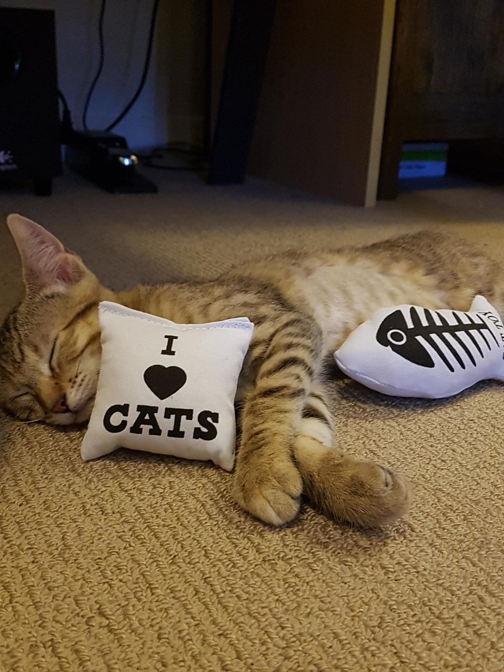 nipple pillow for cats