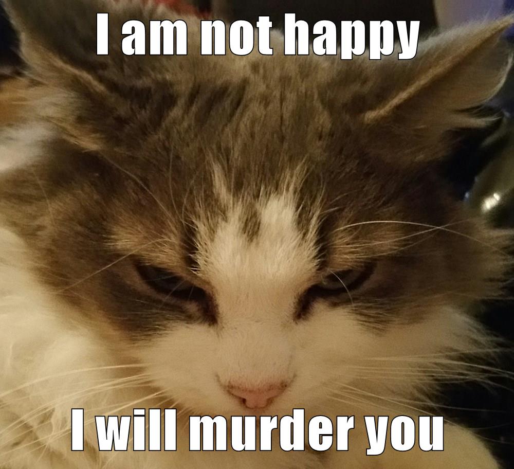 i-am-not-happy-i-will-murder-you-lolcats-lol-cat-memes-funny