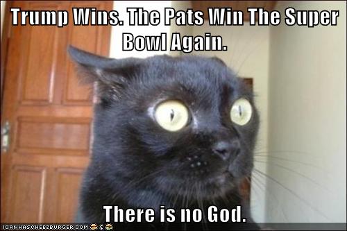 Trump Wins The Pats Win The Super Bowl Again There Is No God Lolcats Lol Cat Memes Funny Cats Funny Cat Pictures With Words On Them