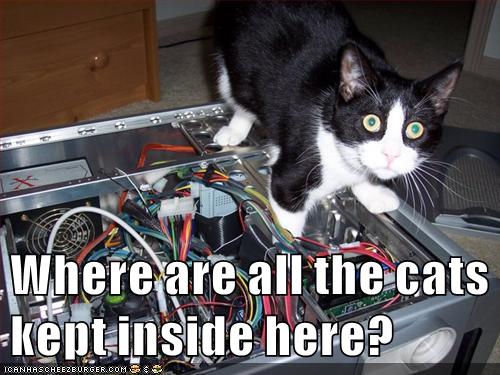 Where are all the cats kept inside here? - Lolcats - lol | cat memes ...