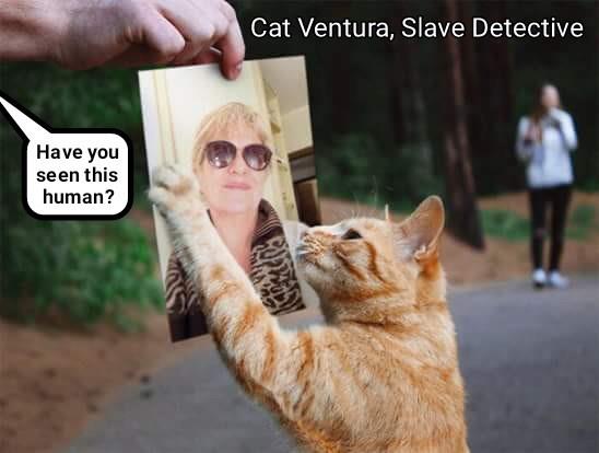 Cat Ventura, Slave Detective (recaption http://tinyurl.com/hpl8vb6