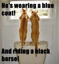 He's wearing a blue coat!