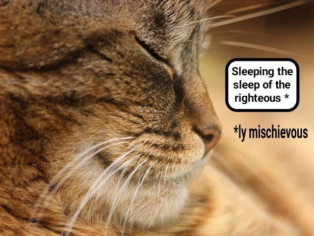 Pure as the driven snow