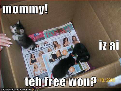 mommy! iz ai teh free won?