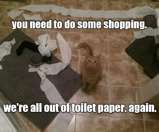 cat toilet paper sign