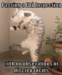 Passing a FDA Inspection - Lolcats - lol | cat memes | funny cats ...