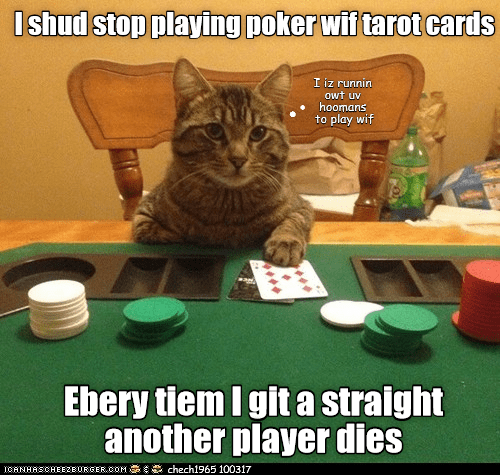 Poker nite wif teh kitteh - Lolcats - lol | cat memes | funny cats