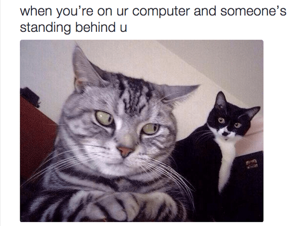 17 Animal Memes That Are Just Way Too Relatable - Memebase - Funny Memes