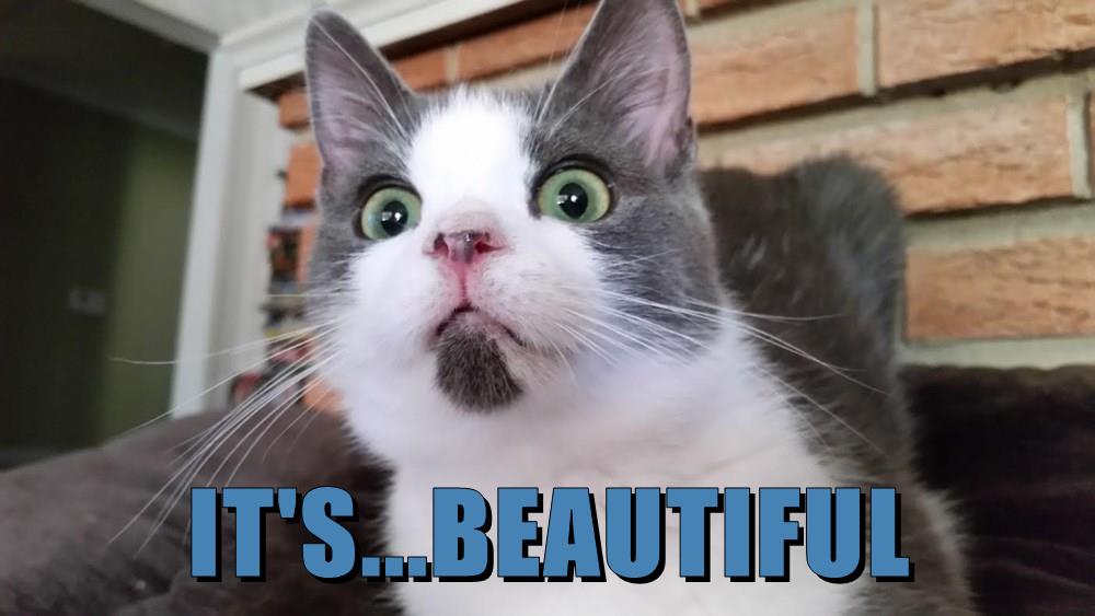 cheezburger-image-9019637760