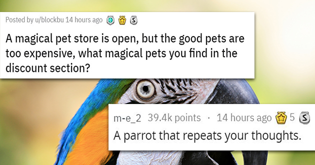 discount pet store