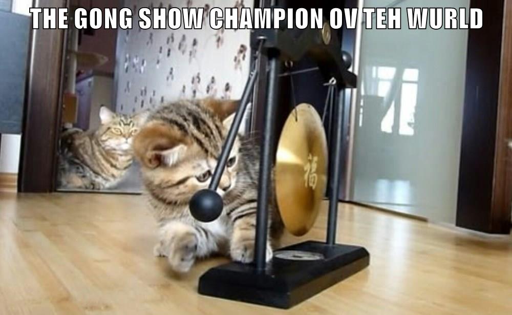 THE GONG SHOW CHAMPION OV TEH WURLD Lolcats lol cat memes funny