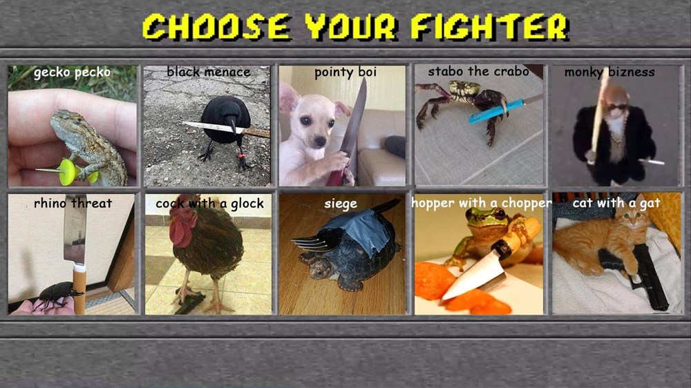 Choose Your Fighter Template