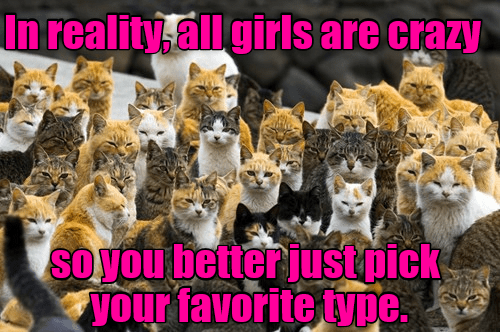 You said you like cat girls right? 