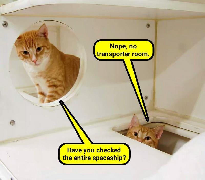 Fortunately there is a litter box, so we can still boldly go Lolcats