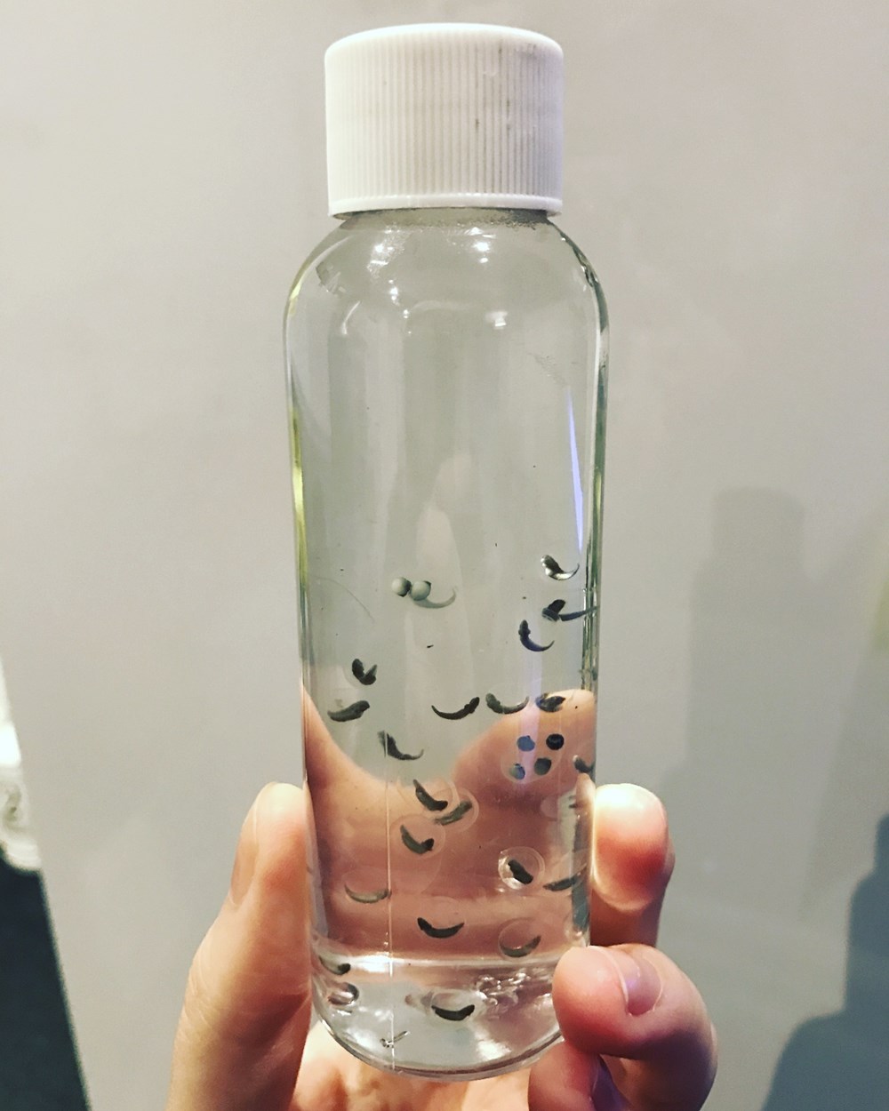 axolotl jelly cat