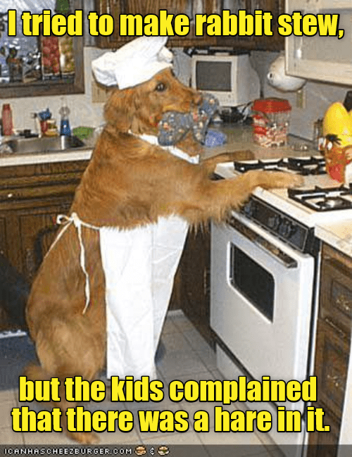 Even dogs like Dad Jokes I Has A Hotdog Dog Pictures Funny