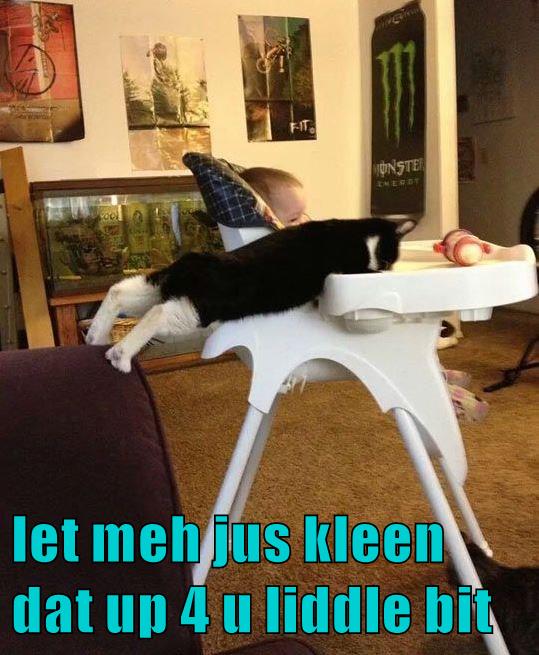 Lolcats - clean - LOL at Funny Cat Memes - Funny cat ...