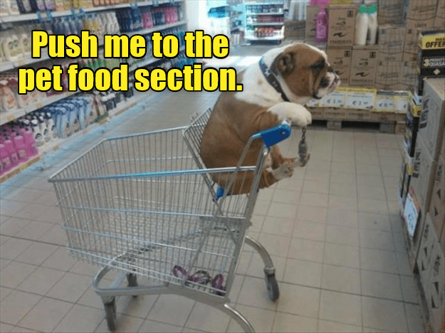 Pushme to the pet food section - I Has A Hotdog - Dog Pictures - Funny ...