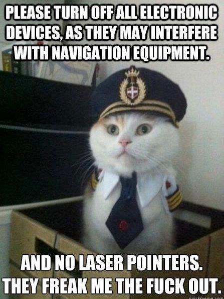 Cats Vs The Red Dot I Can Has Cheezburger Funny Cats Cats Vs The Red Dot I Can Has Cheezburger Funny Cats