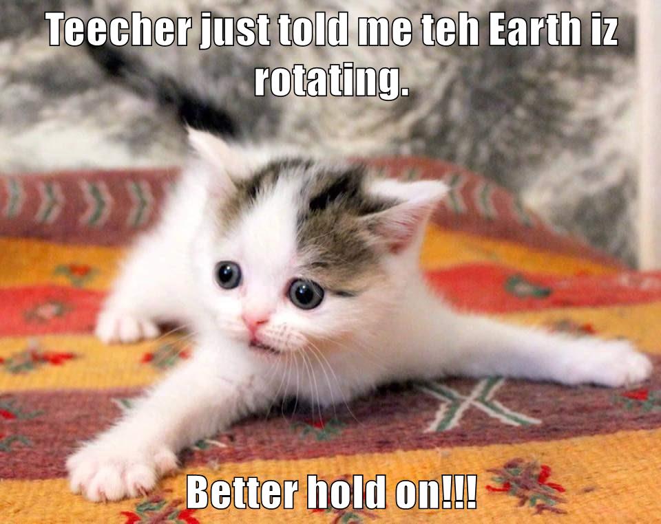 Hold on! I Can Has Cheezburger?